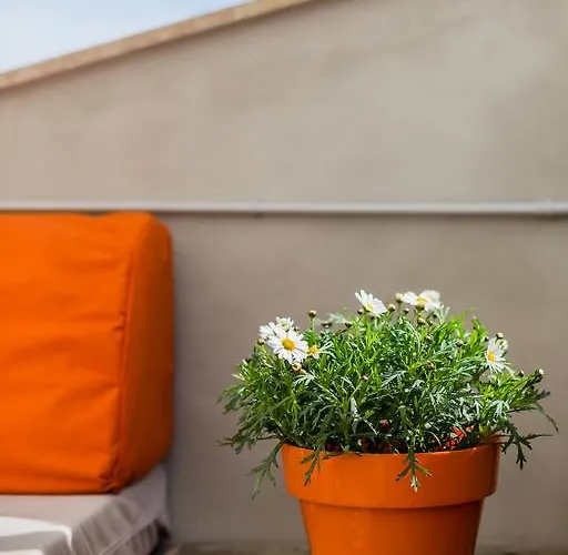 Ca Sa Padrina By Localite Tatil Evi