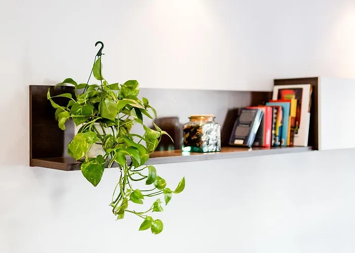 Ca Sa Padrina By Localite