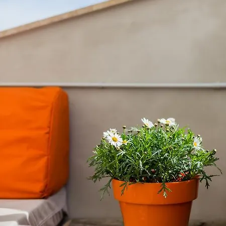 Ca Sa Padrina Holiday home